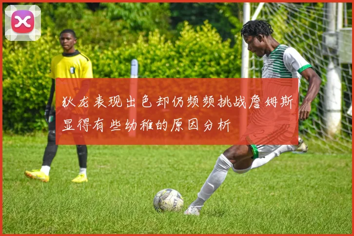 狄龙表现出色却仍频频挑战詹姆斯显得有些幼稚的原因分析