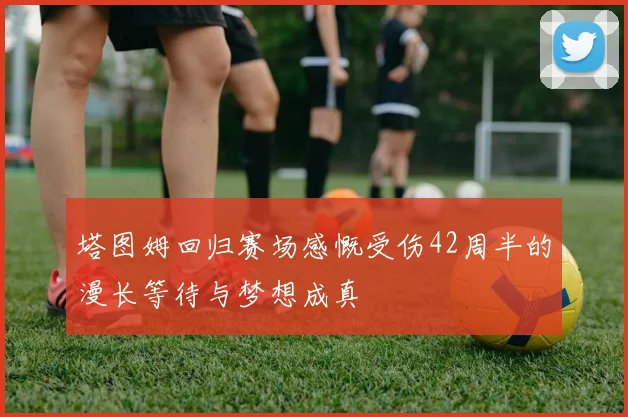 塔图姆回归赛场感慨受伤42周半的漫长等待与梦想成真