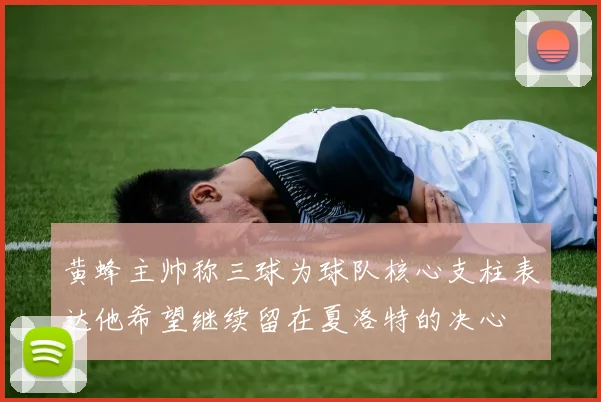 黄蜂主帅称三球为球队核心支柱表达他希望继续留在夏洛特的决心